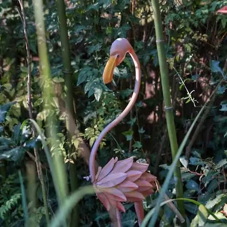 Calme Absolu Détente En Famille&piscine Chauffée Villa *